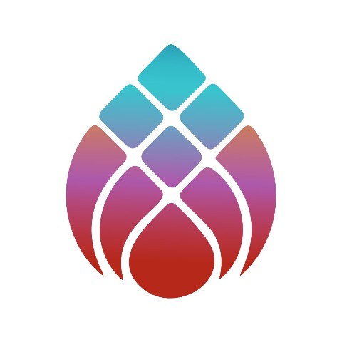 Fire Solution Partner logo