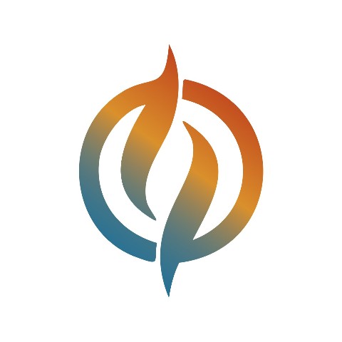 Fire Solution Partner logo