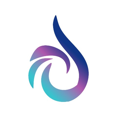 Fire Solution Partner logo